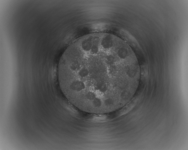 X0000110760369200906151310