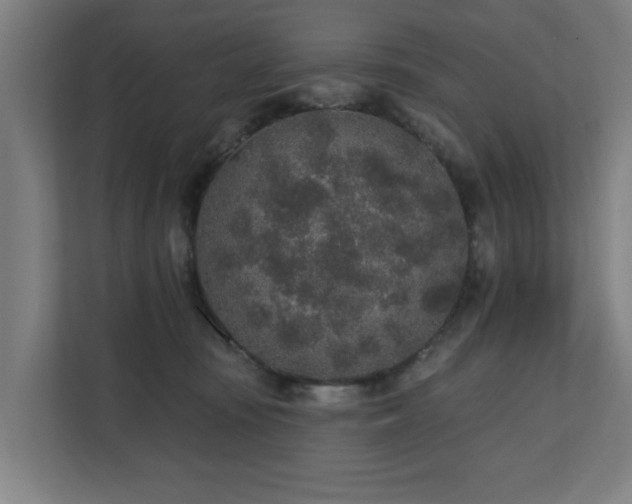 X0000110760371200906151310
