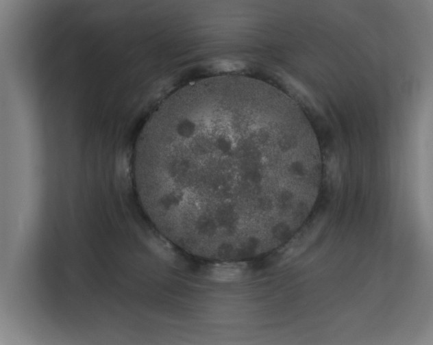 X0000110760373200906151310