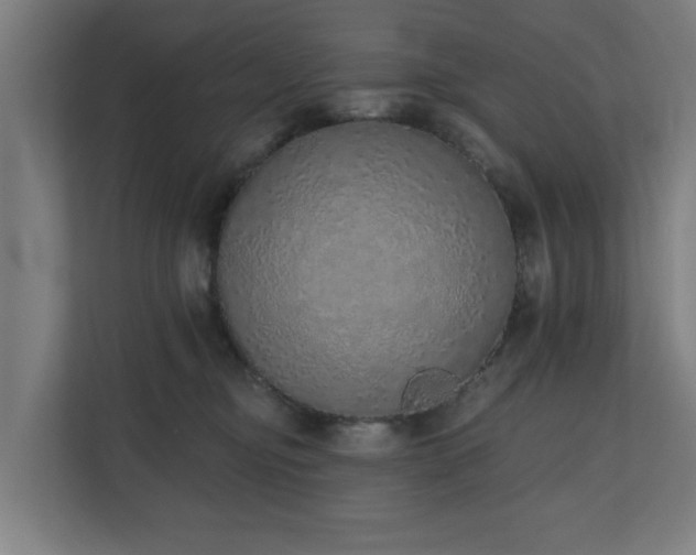 X0000110760374200906151310