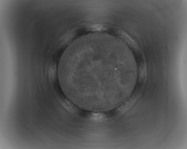 X0000110760376200906151310