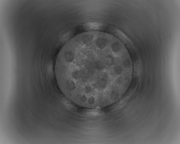 X0000110760377200906151310