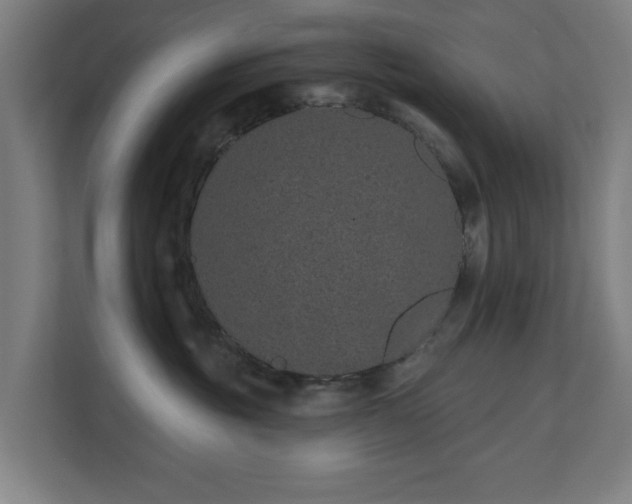 X0000110760381200906151310