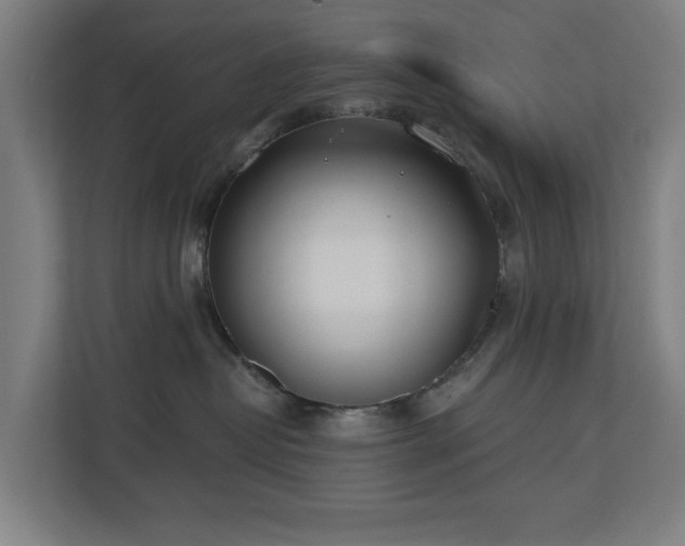 X0000110760382200906151310