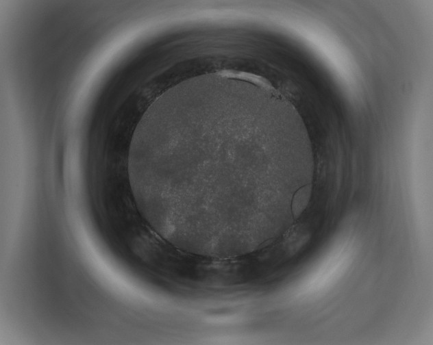 X0000110760383200906151310