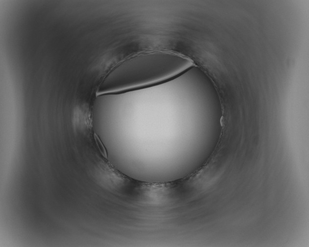 X0000110760384200906151310