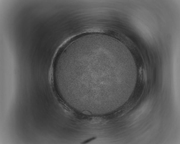 X0000110760388200906151310