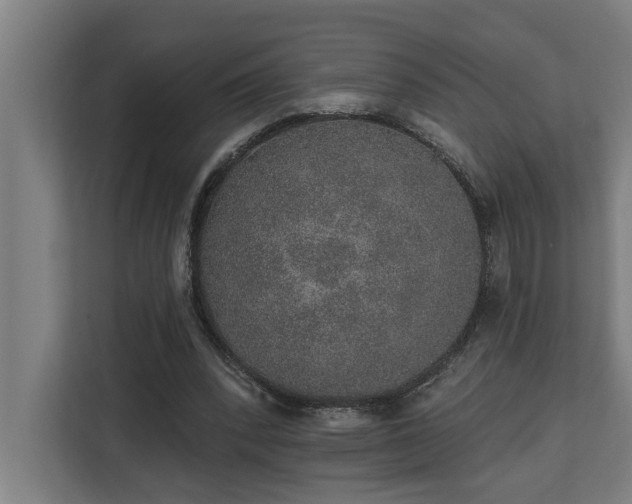 X0000110760392200906151310