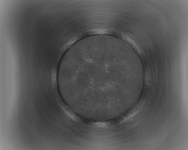 X0000110760394200906151310