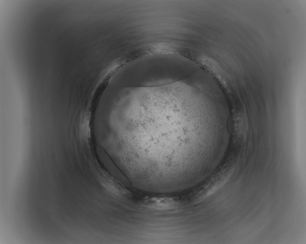 X0000110760395200906151310