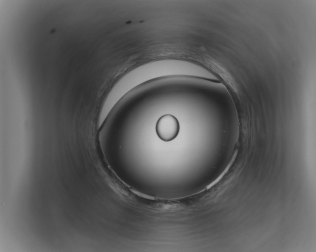 X0000110760401200906151310