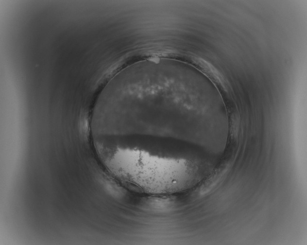 X0000110760405200906151310