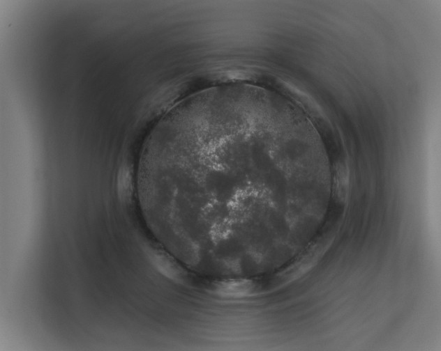 X0000110760410200906151310