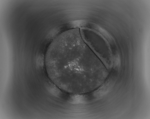 X0000110760413200906151310