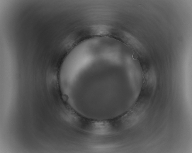X0000110760415200906151309