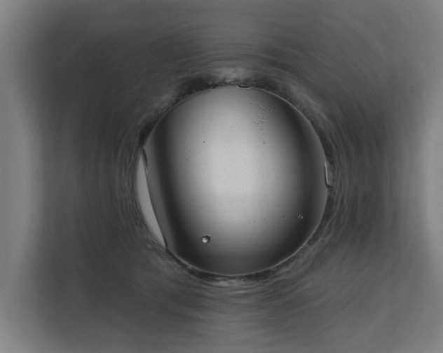 X0000110760417200906151309