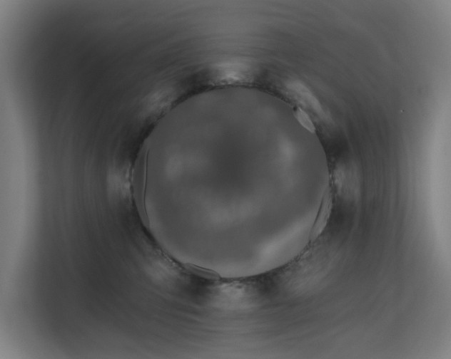 X0000110760423200906151309