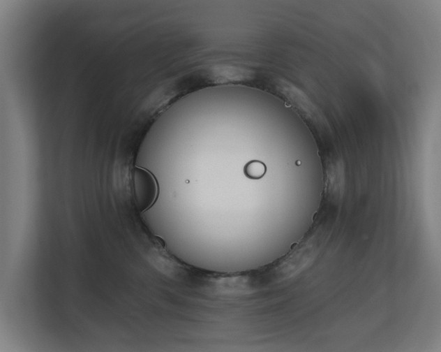 X0000110760426200906151309