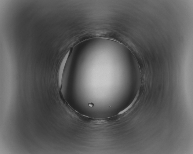 X0000110760427200906151309