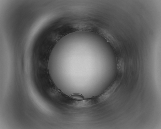 X0000110760430200906151309