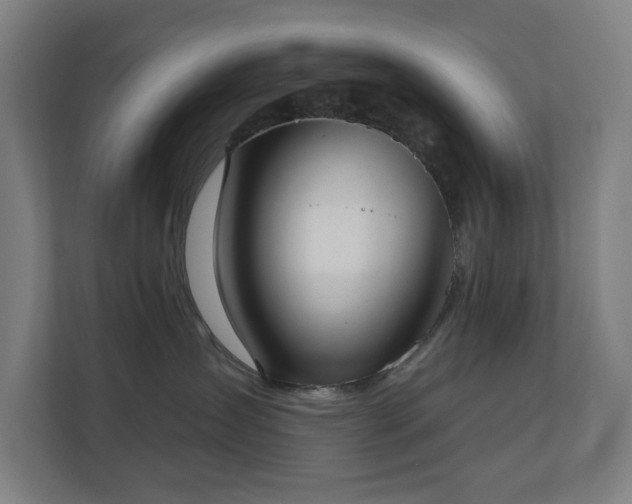X0000110760431200906151309