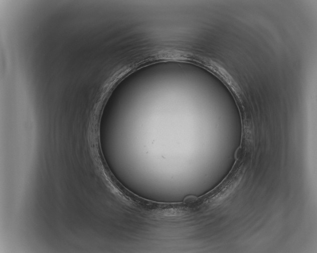 X0000110760433200906151309