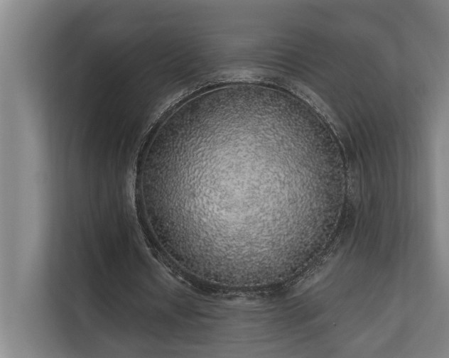 X0000110760434200906151309
