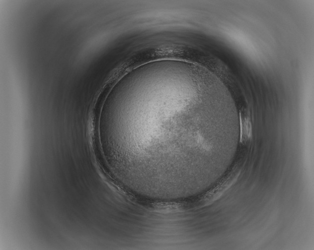 X0000110760435200906151309