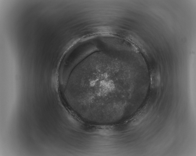 X0000110760436200906151309