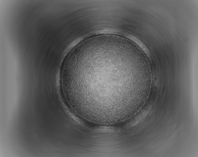 X0000110760437200906151309