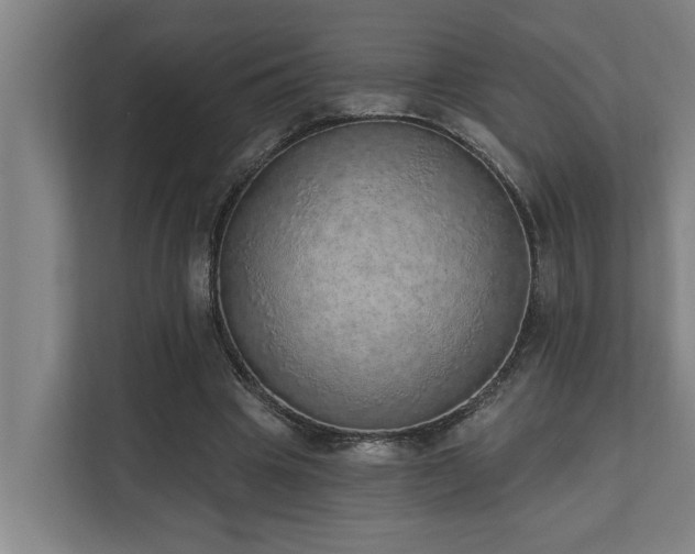 X0000110760441200906151309