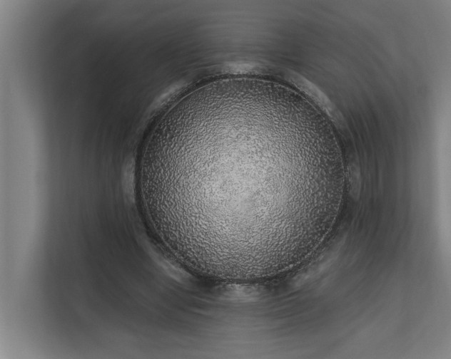 X0000110760442200906151309