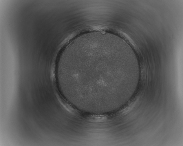 X0000110760443200906151309