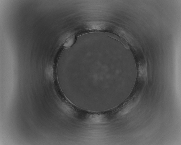 X0000110760444200906151309