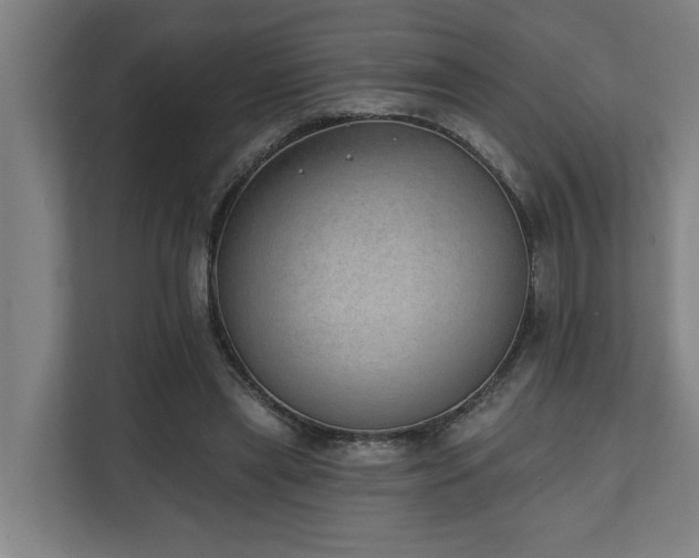 X0000110760445200906151309