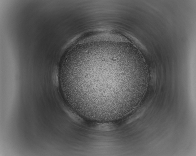 X0000110760446200906151309
