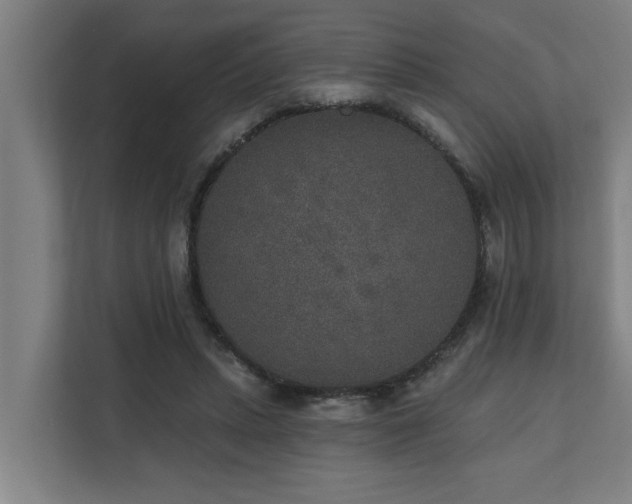 X0000110760447200906151309