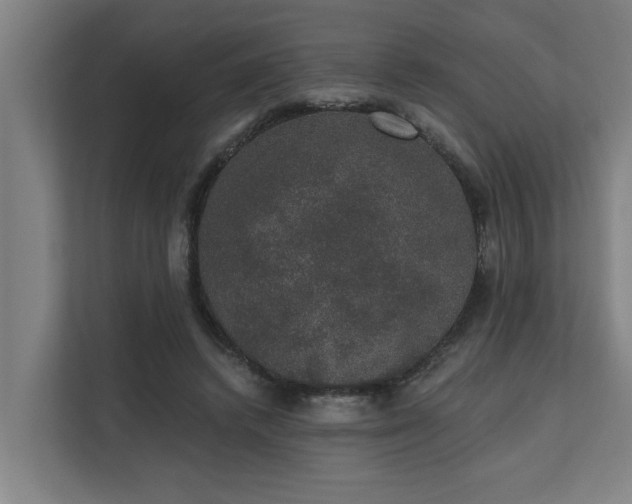X0000110760448200906151309