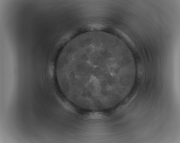 X0000110760451200906151309