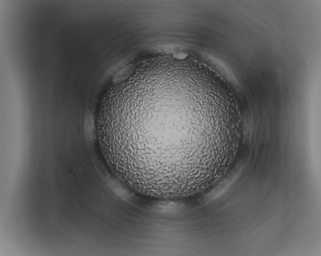 X0000110760453200906151309