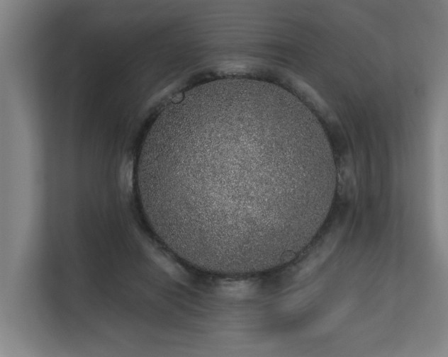 X0000110760454200906151309