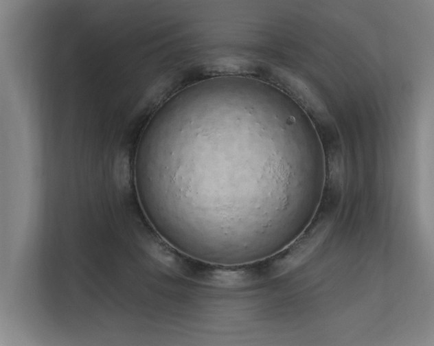 X0000110760457200906151309