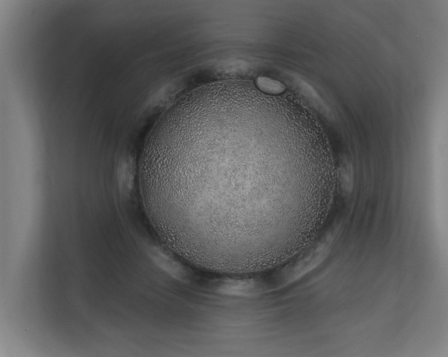 X0000110760458200906151309