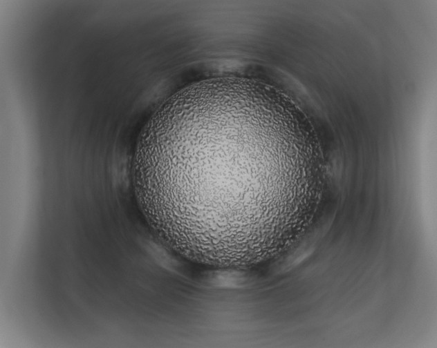 X0000110760462200906151309