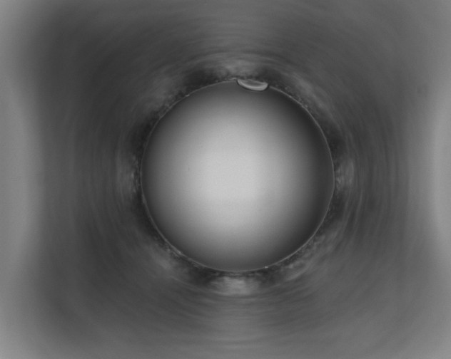 X0000110760464200906151309