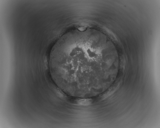 X0000110760465200906151309