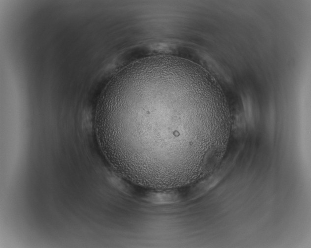 X0000110760466200906151309