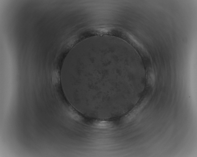 X0000110760467200906151309
