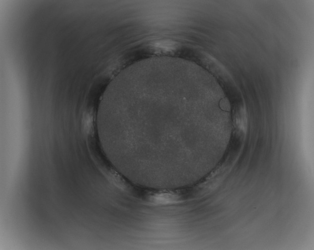 X0000110760468200906151309