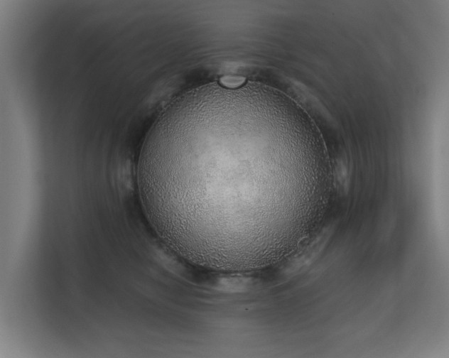 X0000110760470200906151309